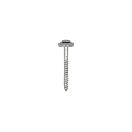 Dak&Gevel Spenglerschroef RVS-A2 LK EPDM-Ring TX-20